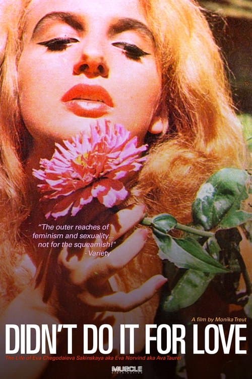 Poster for Didn’t Do It for Love