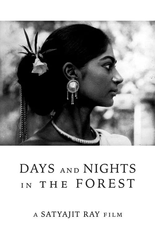 Poster for Days And Nights In The Forest