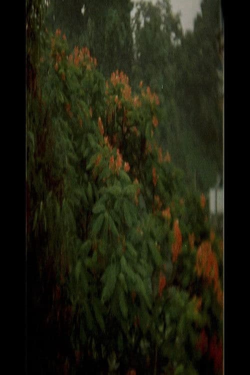 Poster for A Fortress