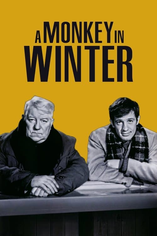 Poster for A Monkey in Winter
