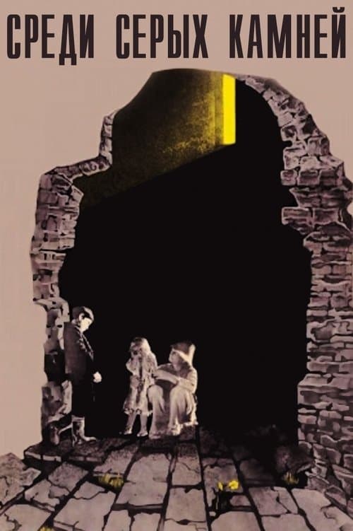 Poster for Among Grey Stones