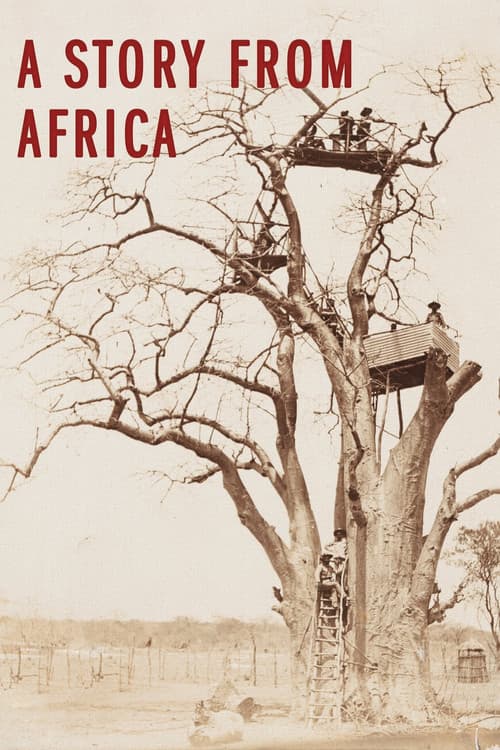 Poster for A Story from Africa