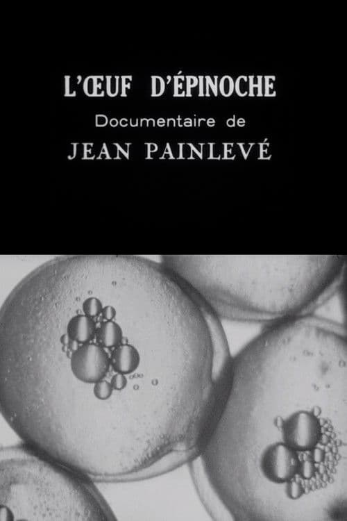 Poster for The Stickleback's Egg