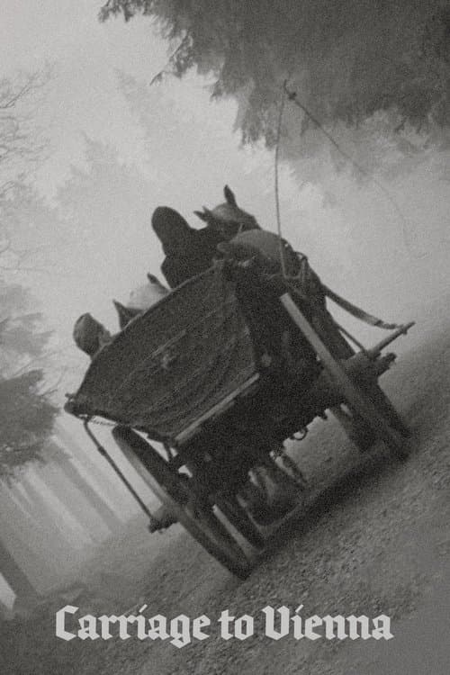 Poster for Coach to Vienna