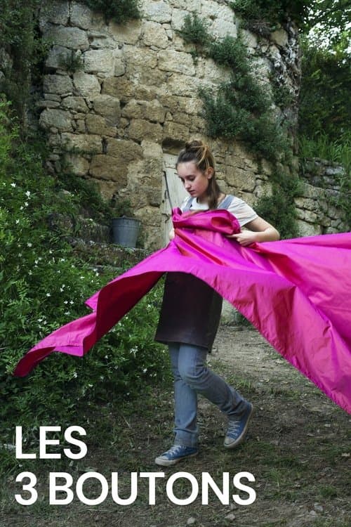 Poster for Les 3 boutons
