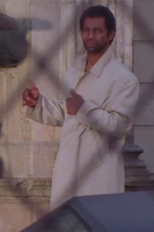 Poster for Mist Melodies of Paris