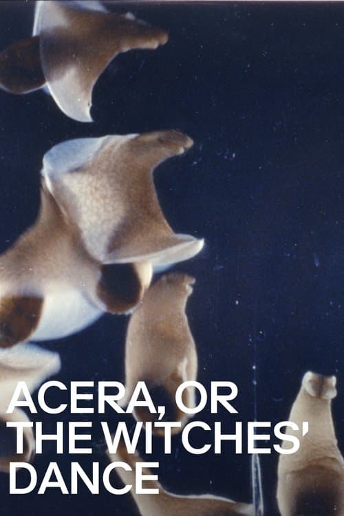 Poster for ACERA, or the Witches’ Dance