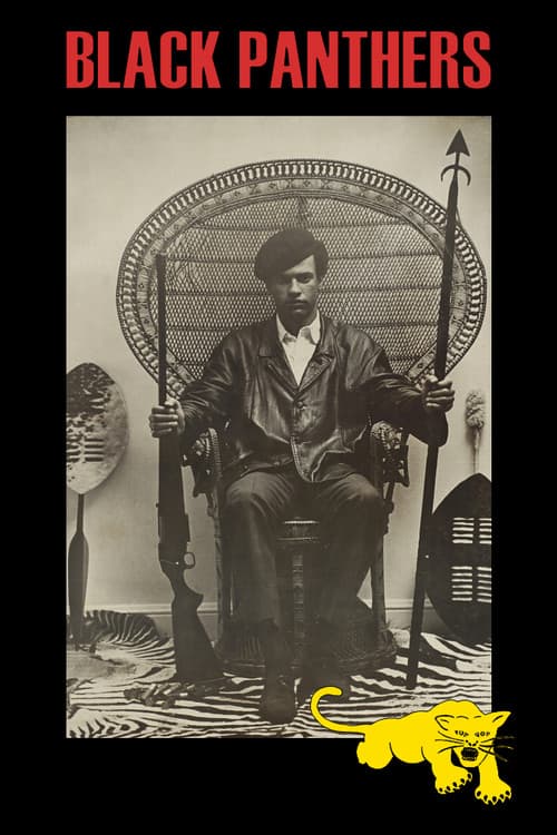 Poster for Black Panthers