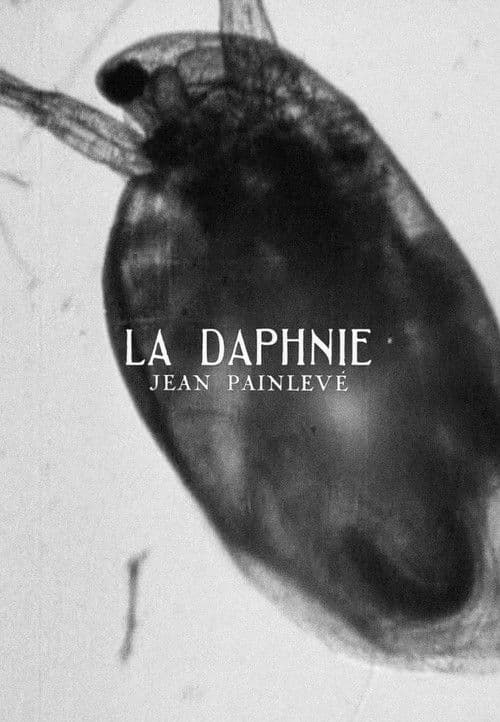 Poster for Daphnia