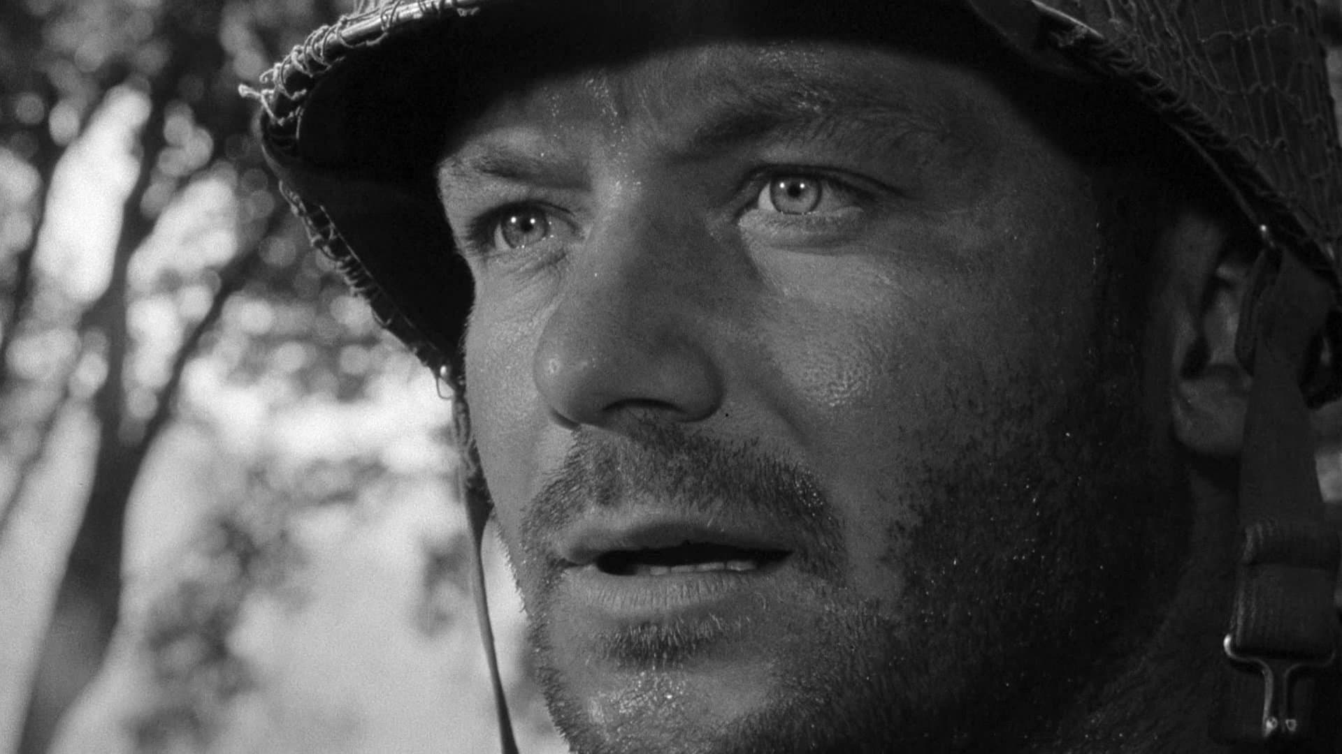 Backdrop for Men in War
