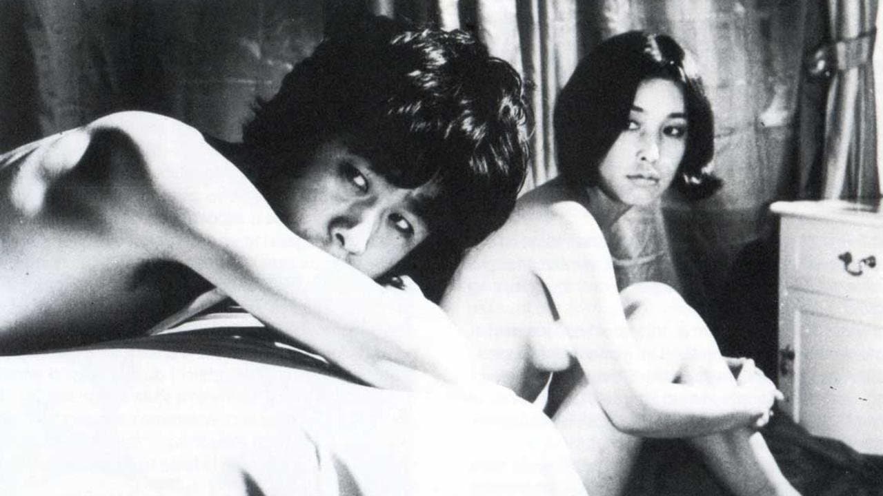 Backdrop for Diary of a Shinjuku Thief