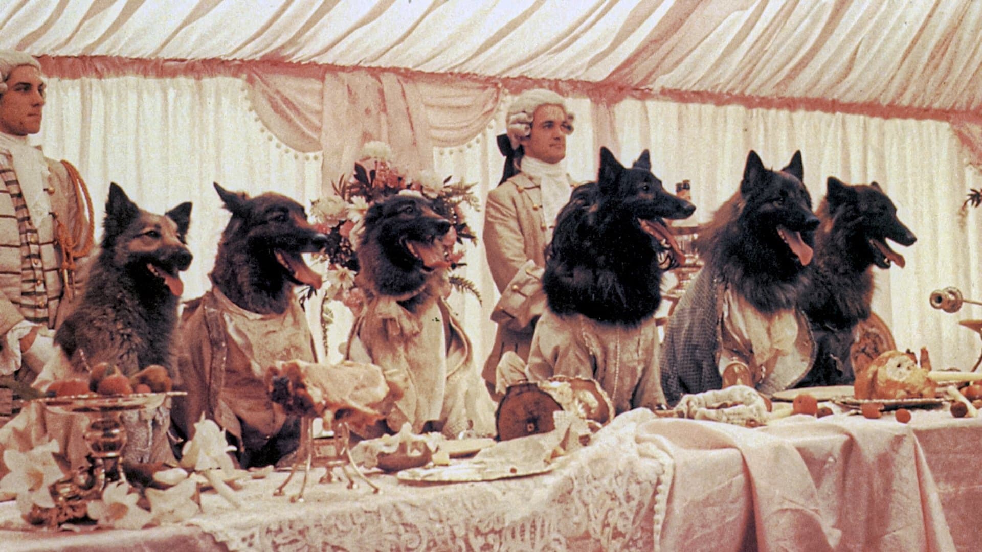 Backdrop for The Company of Wolves