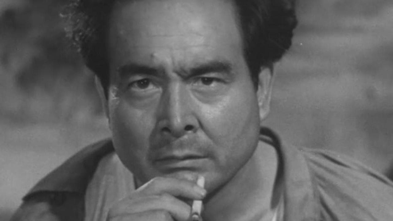 Backdrop for Fireworks Over the Sea