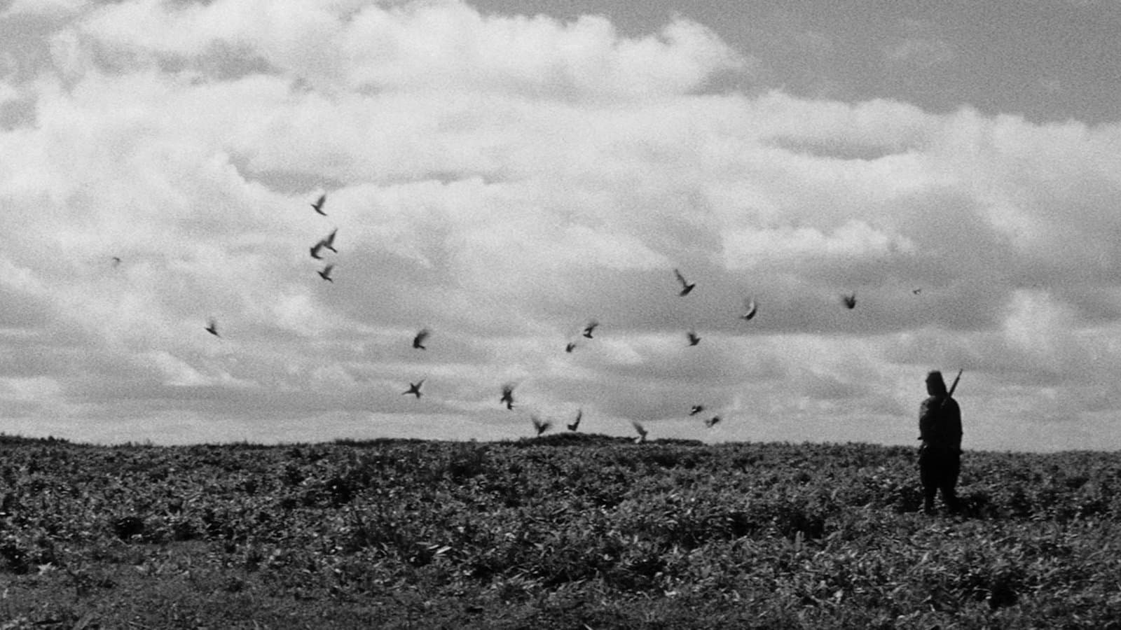 Backdrop for The Human Condition III