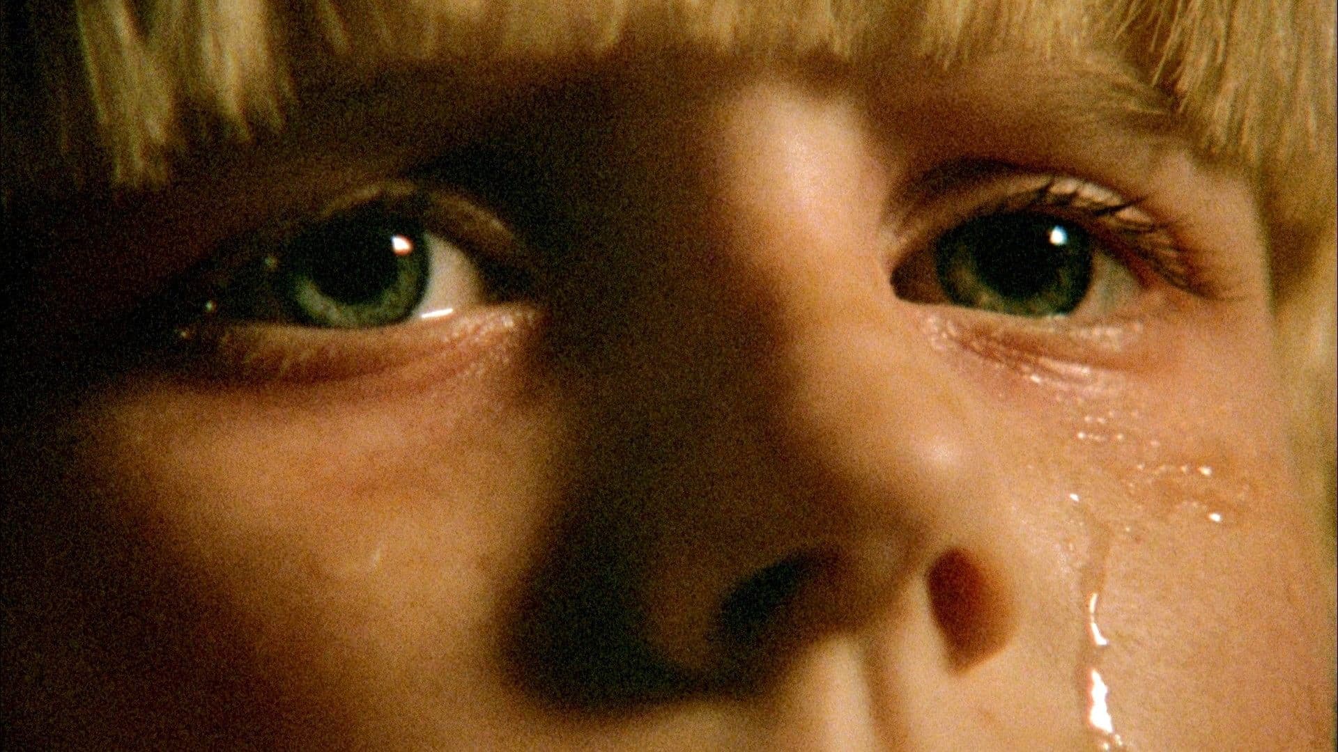 Backdrop for The Brood