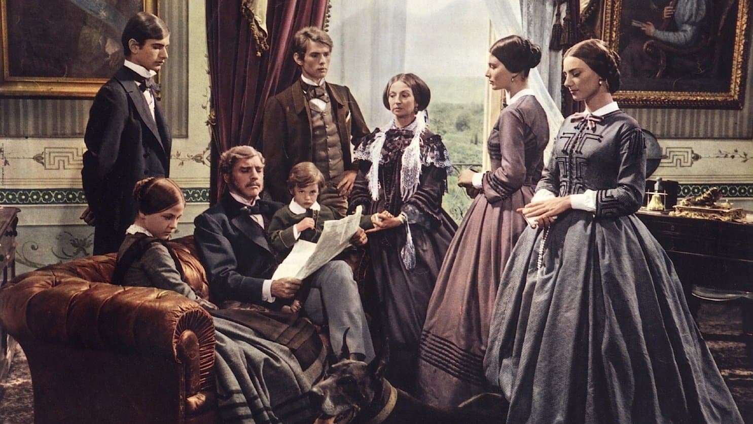 Backdrop for The Leopard