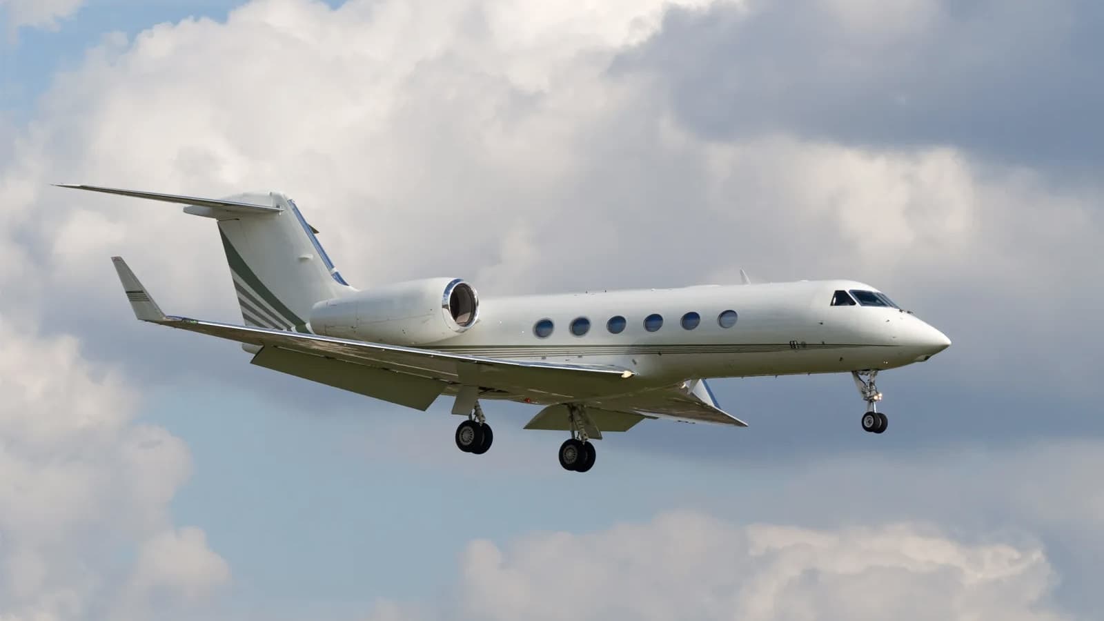 Backdrop for The Fat and the Lean