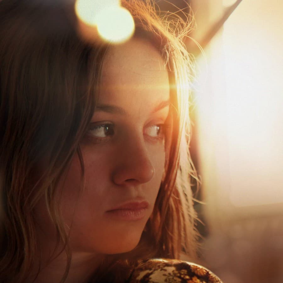 Brie Larson