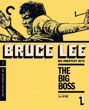 Poster for The Big Boss