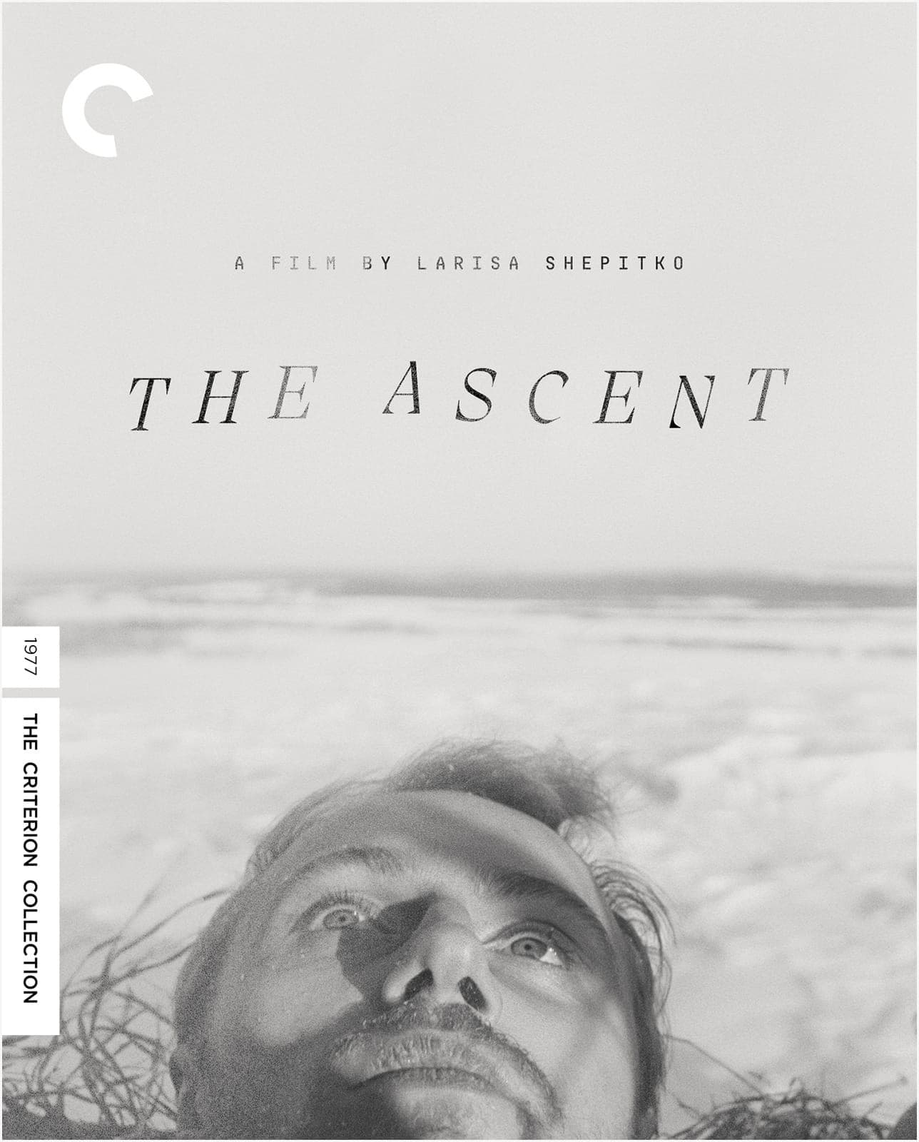 Poster for The Ascent