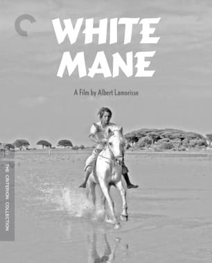 Poster for White Mane