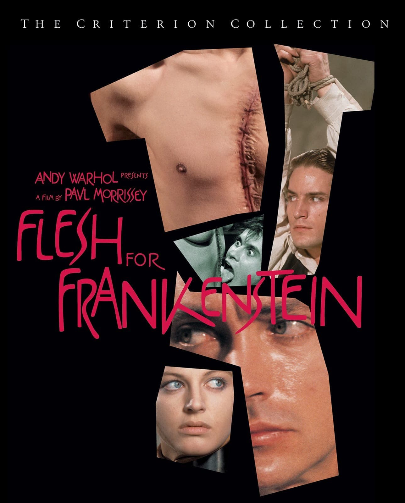 Poster for Flesh for Frankenstein