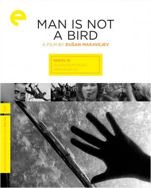 Poster for Man Is Not a Bird
