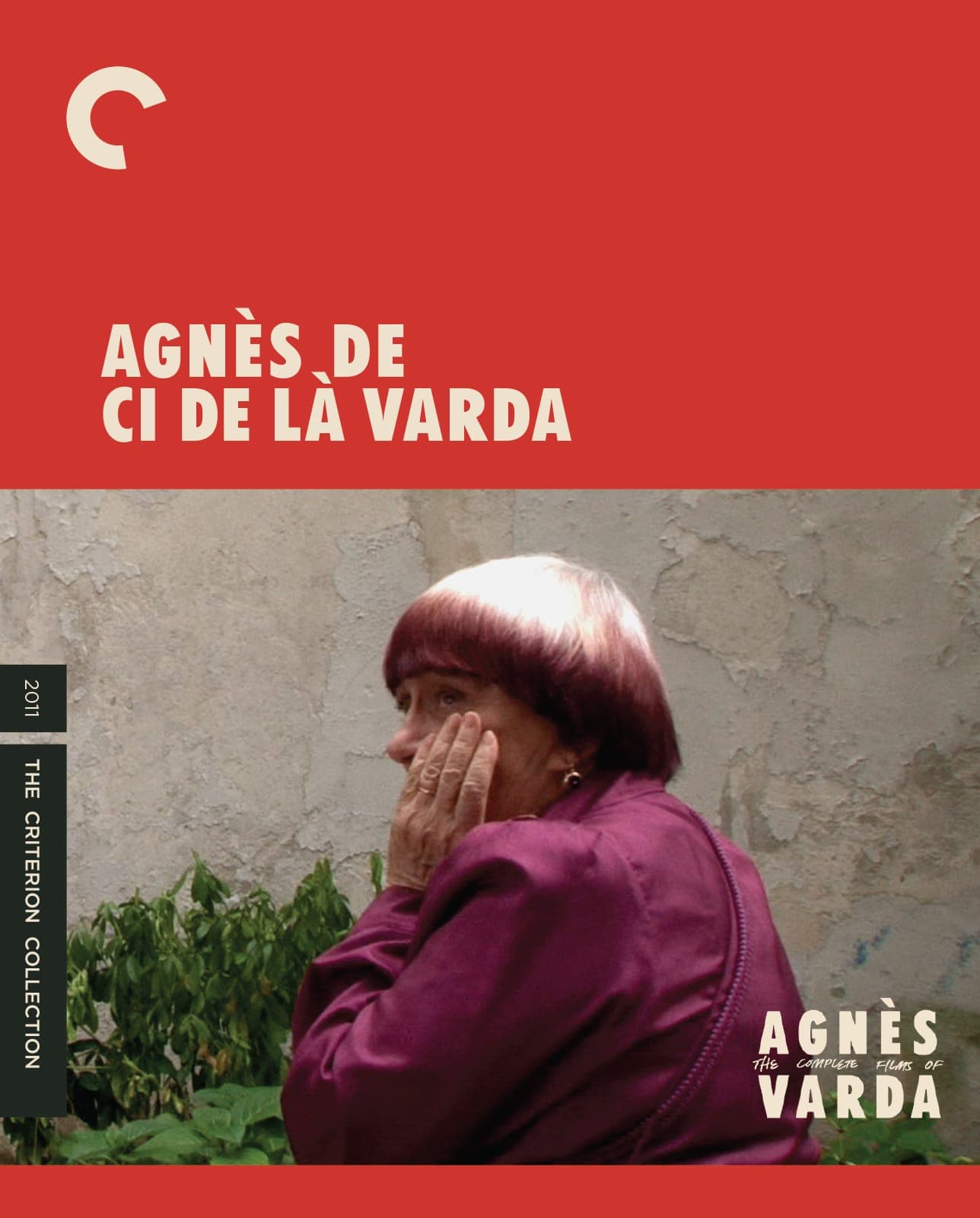 Backdrop for AGNÈS DE CI DE LÀ VARDA: Episode 1