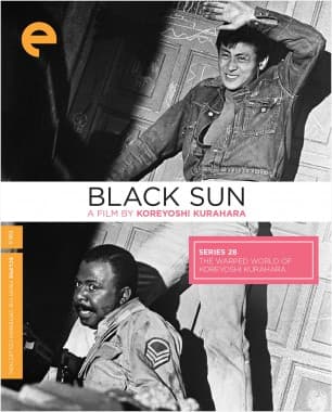 Poster for Black Sun
