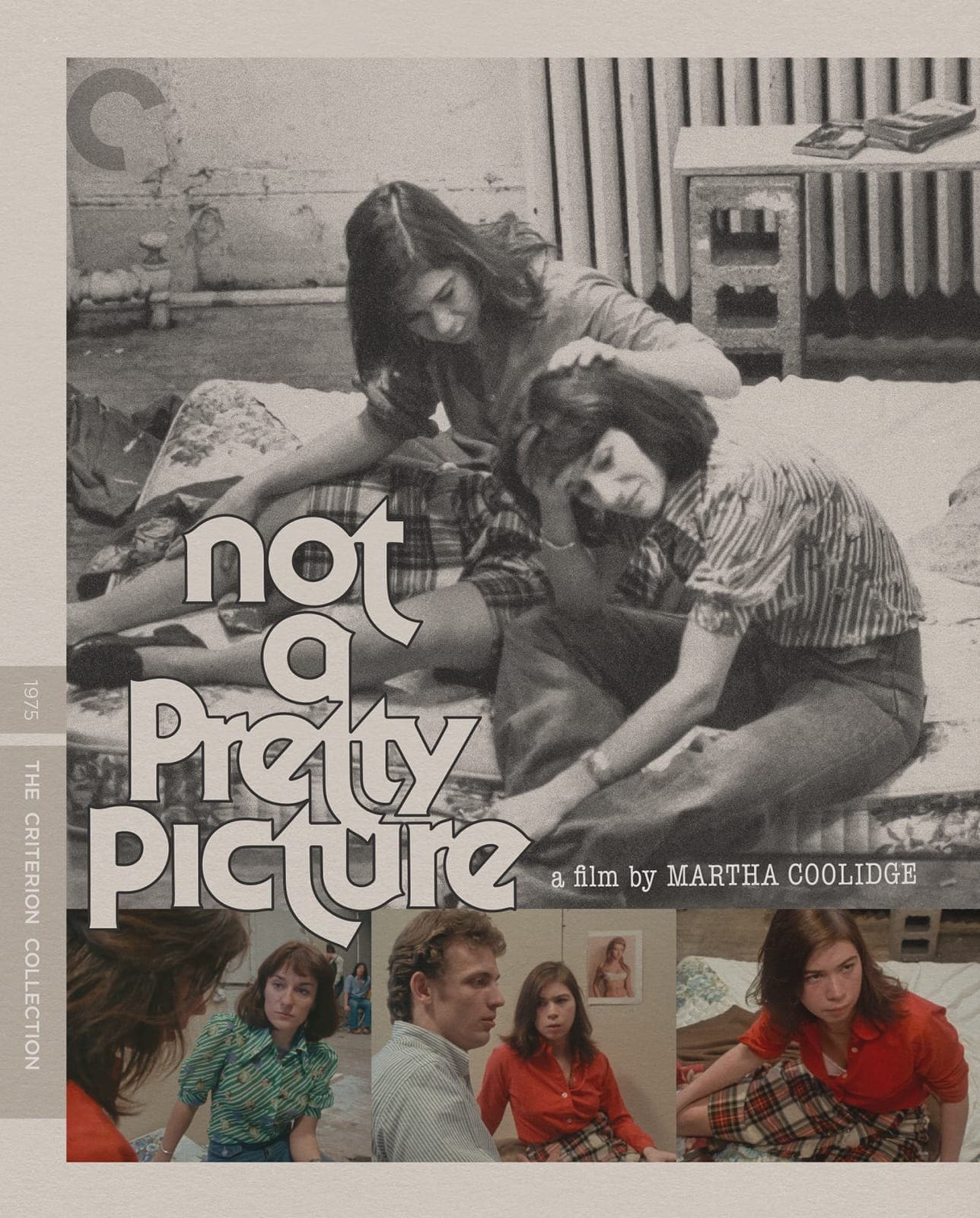 Poster for Not a Pretty Picture