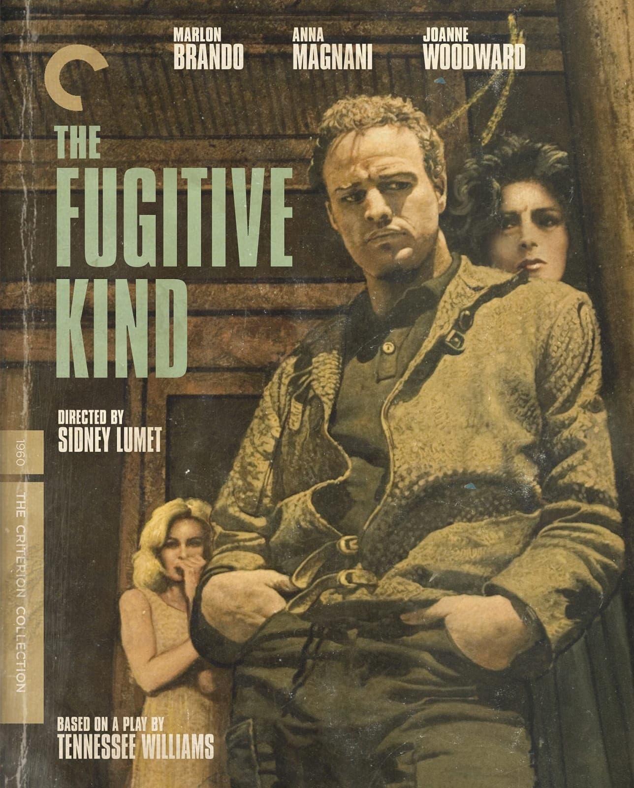 Poster for The Fugitive Kind