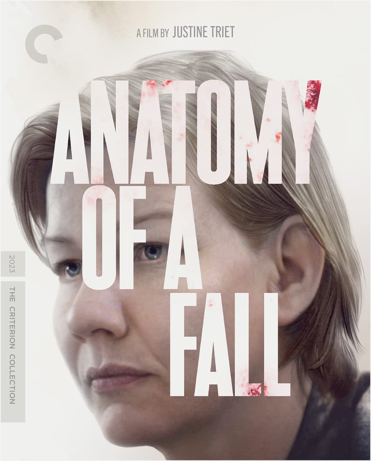 Poster for Anatomy of a Fall