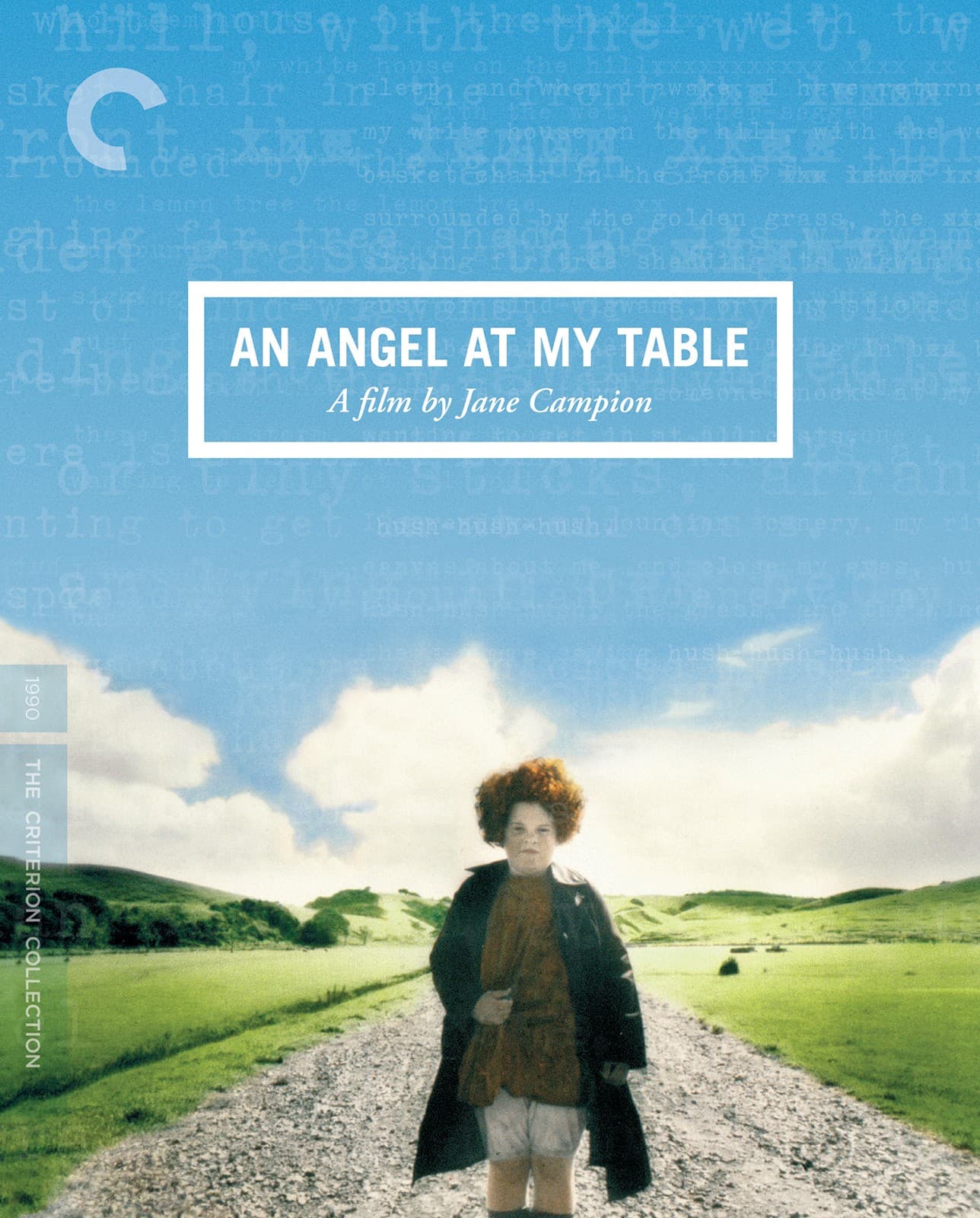Poster for An Angel at My Table
