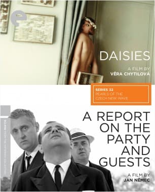 Poster for A Report on the Party and Guests