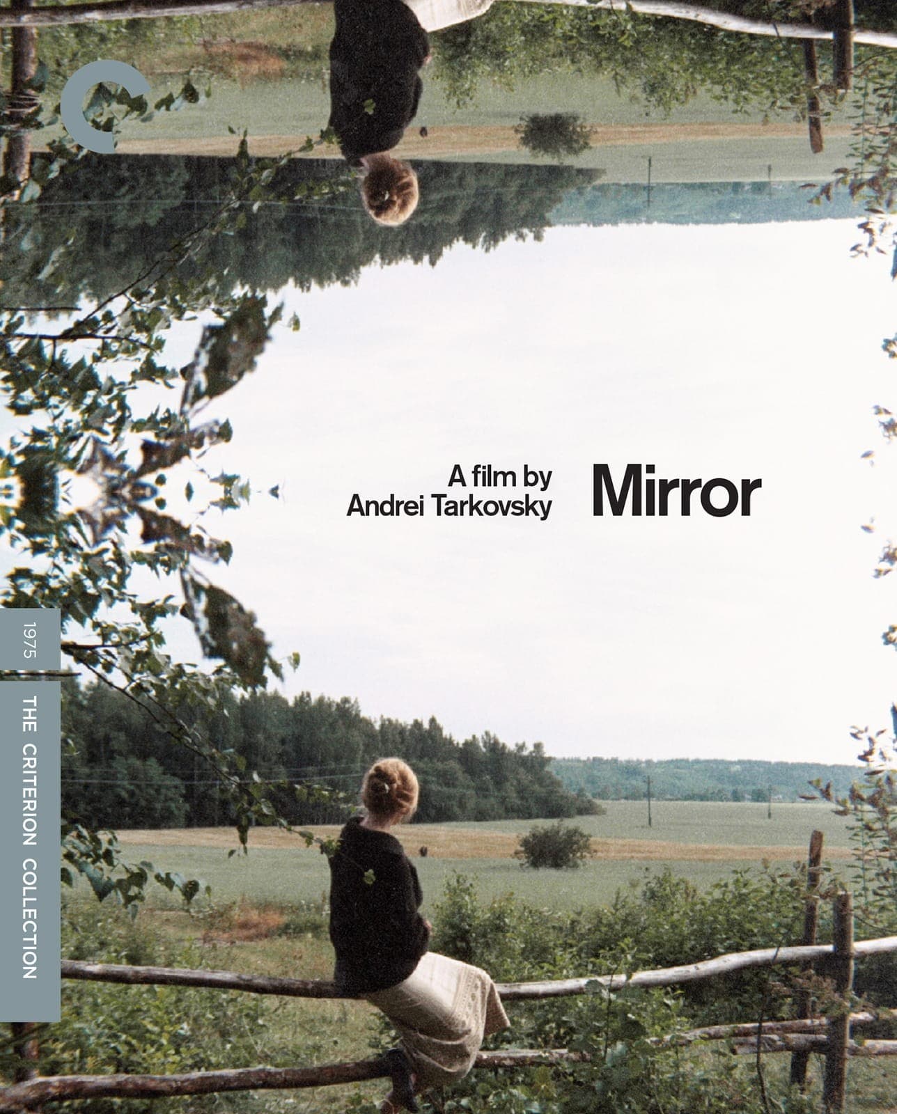 Poster for Mirror