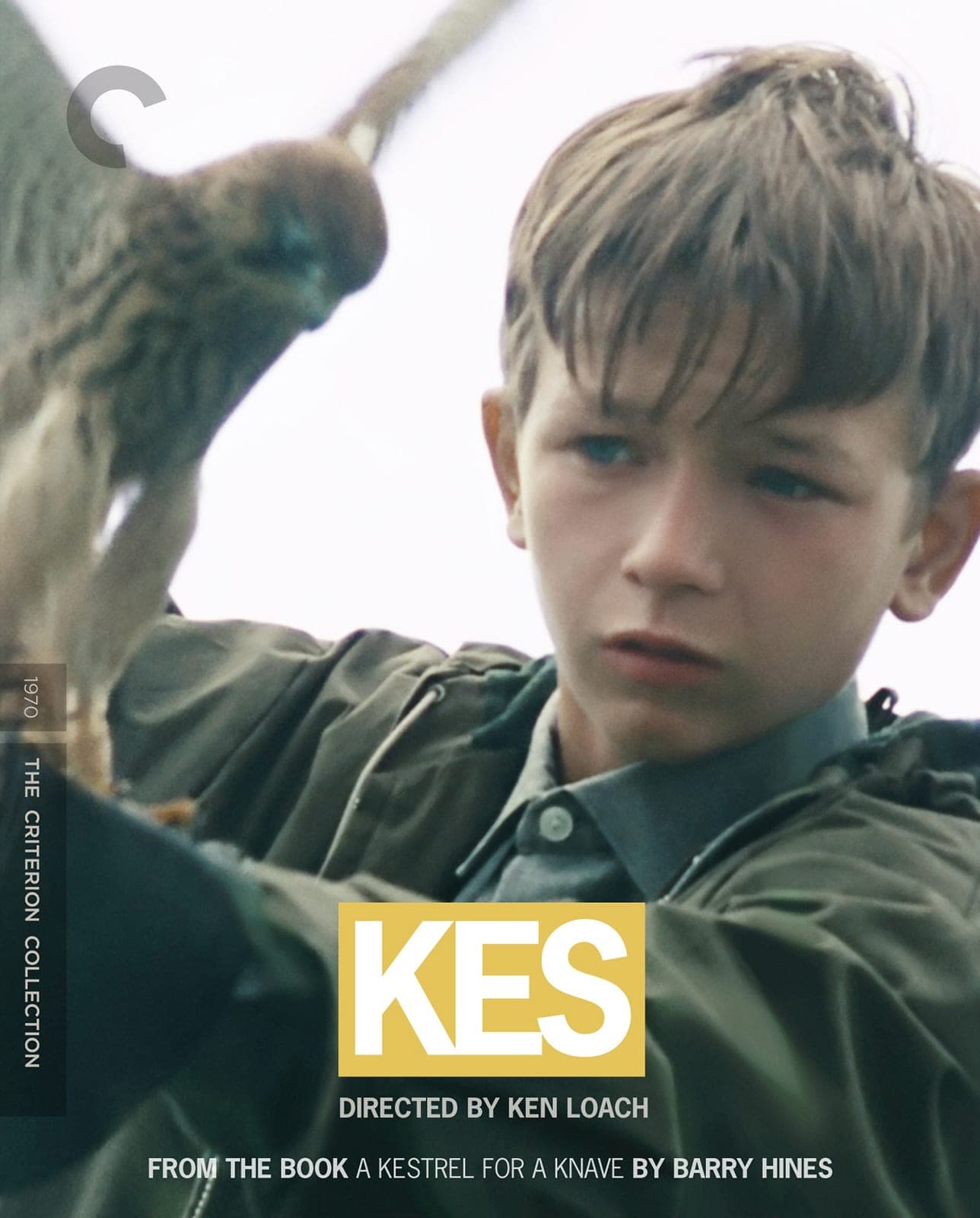 Poster for Kes