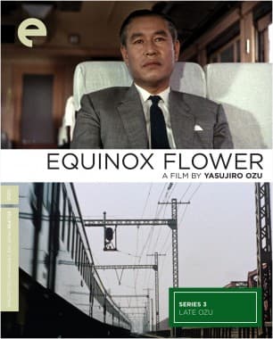 Equinox Flower