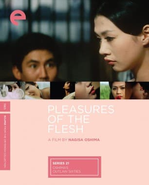 Poster for Pleasures of the Flesh