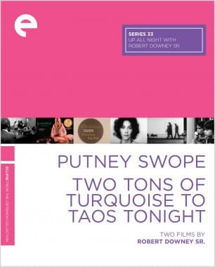 Poster for Putney Swope