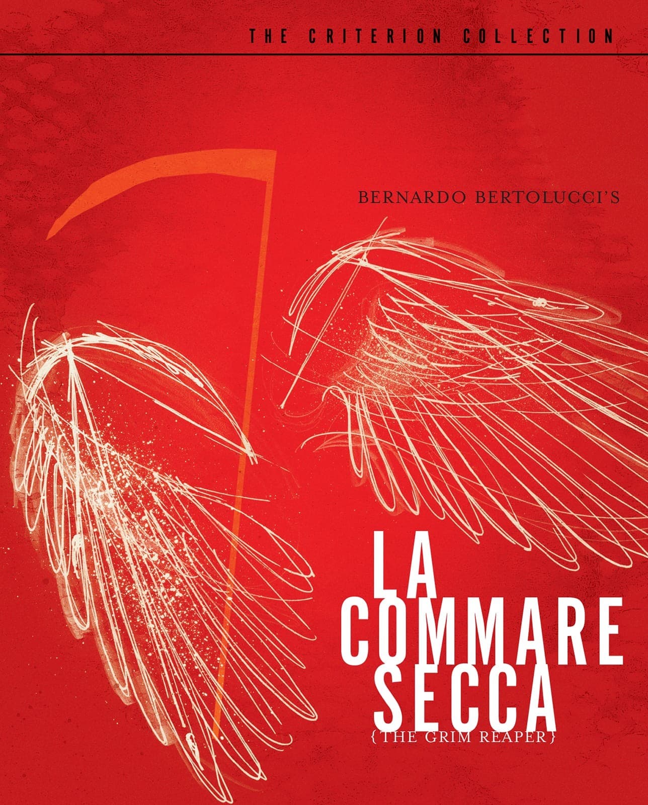 Poster for La commare secca
