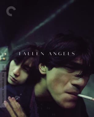 Poster for Fallen Angels