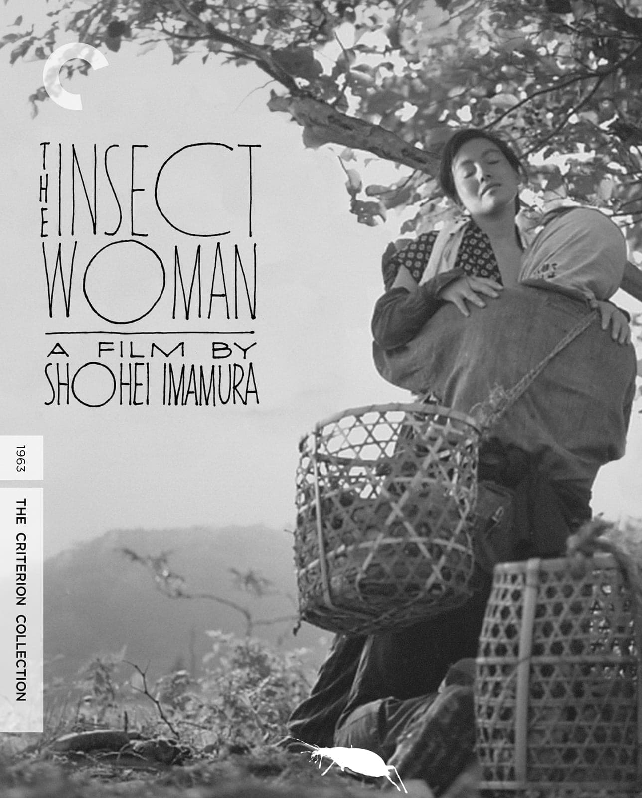 Poster for The Insect Woman