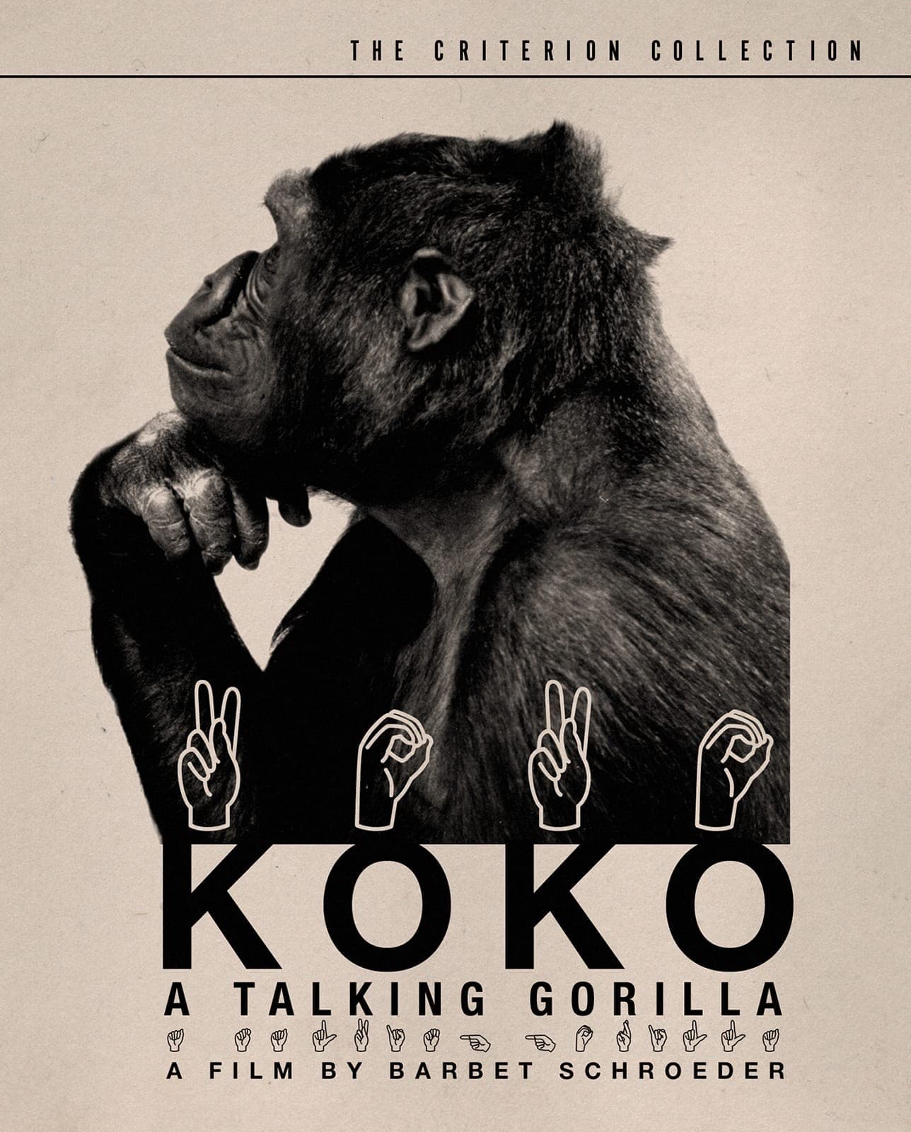 Poster for Koko: A Talking Gorilla