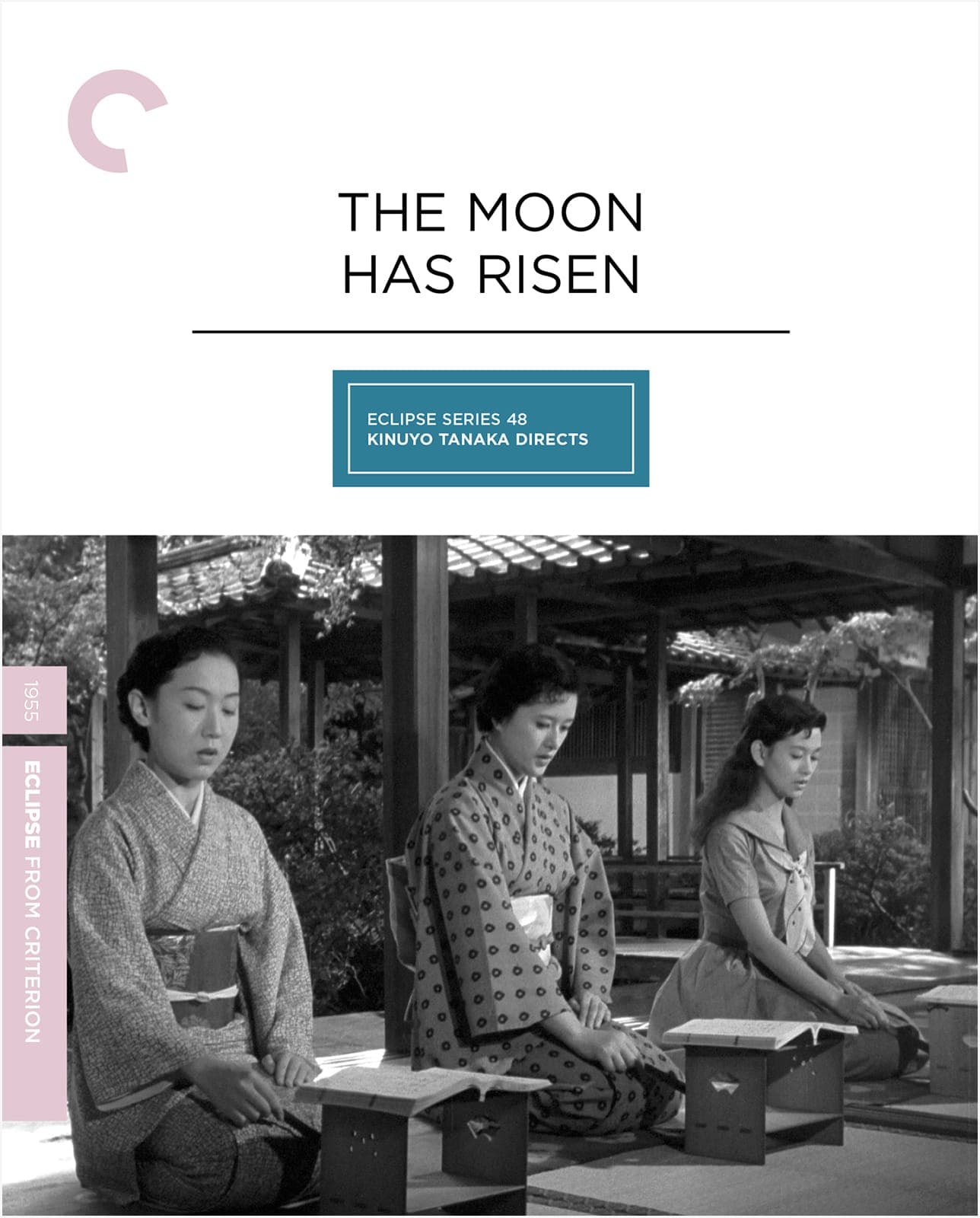 Poster for The Moon Has Risen