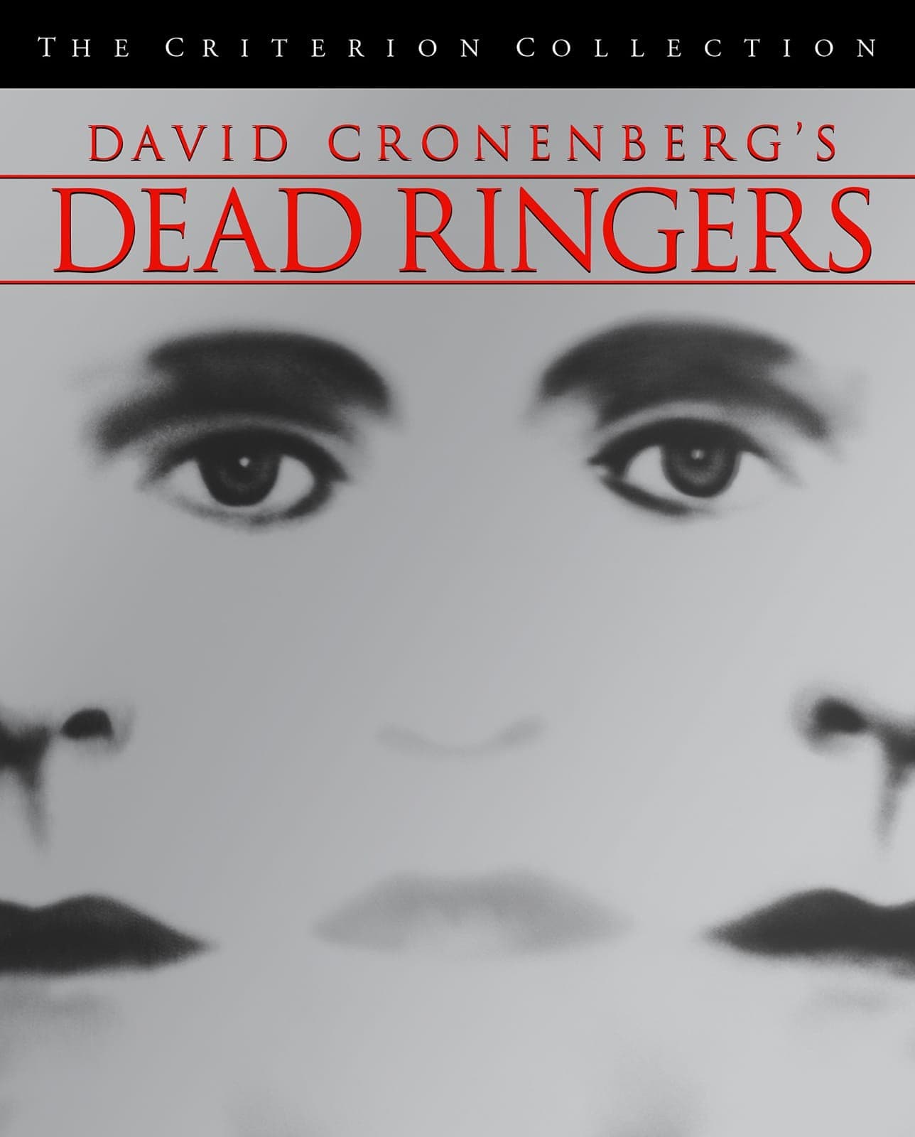 Poster for Dead Ringers