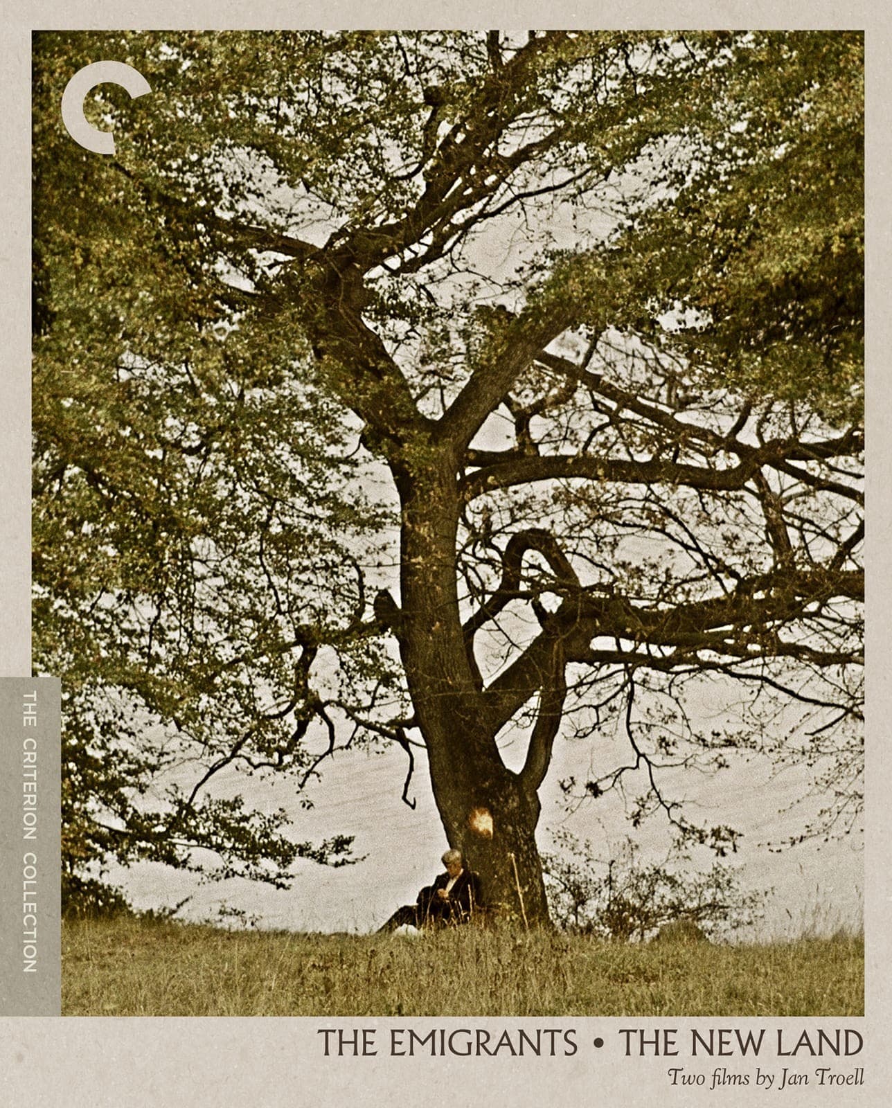 Poster for The New Land