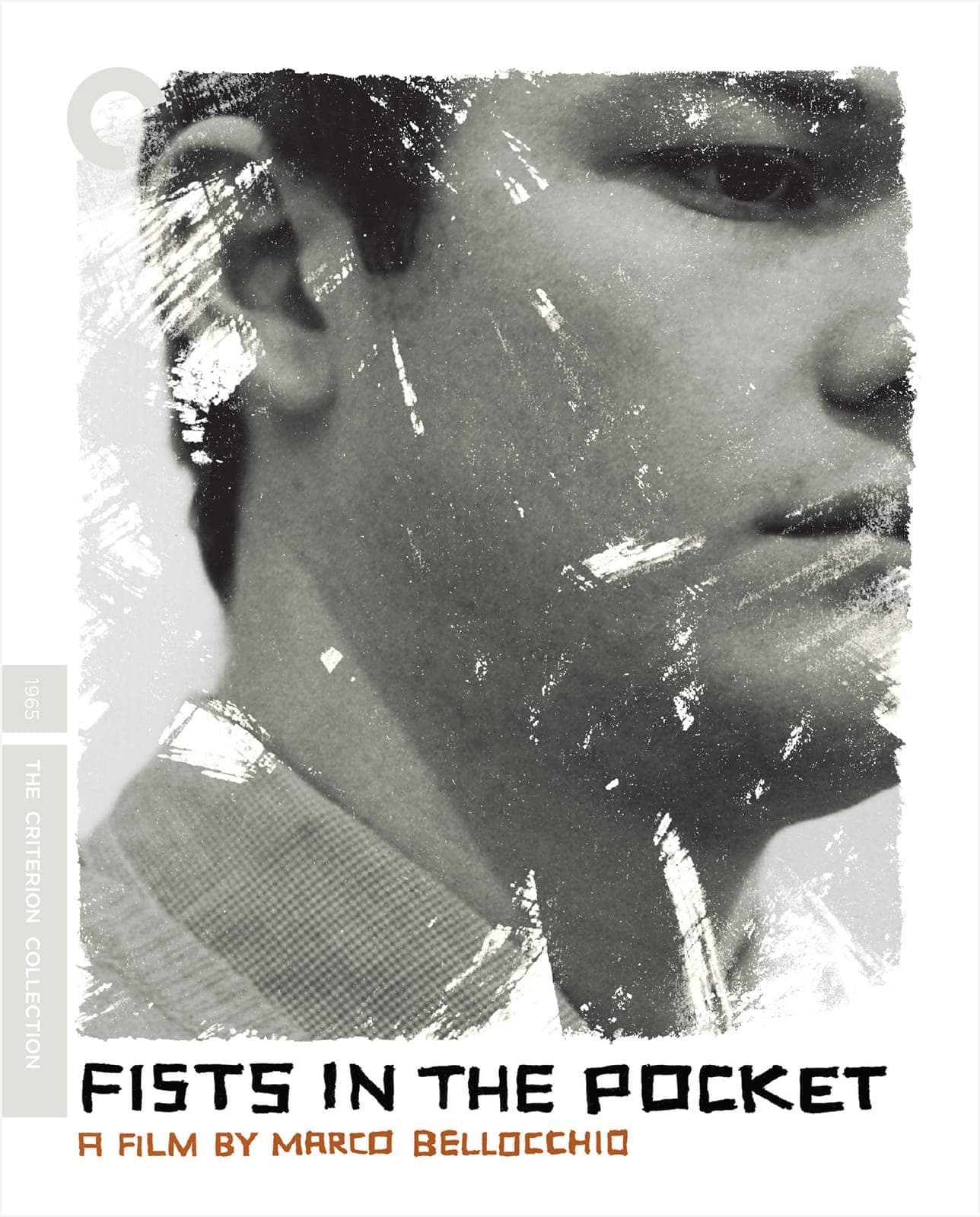 Poster for Fists in the Pocket