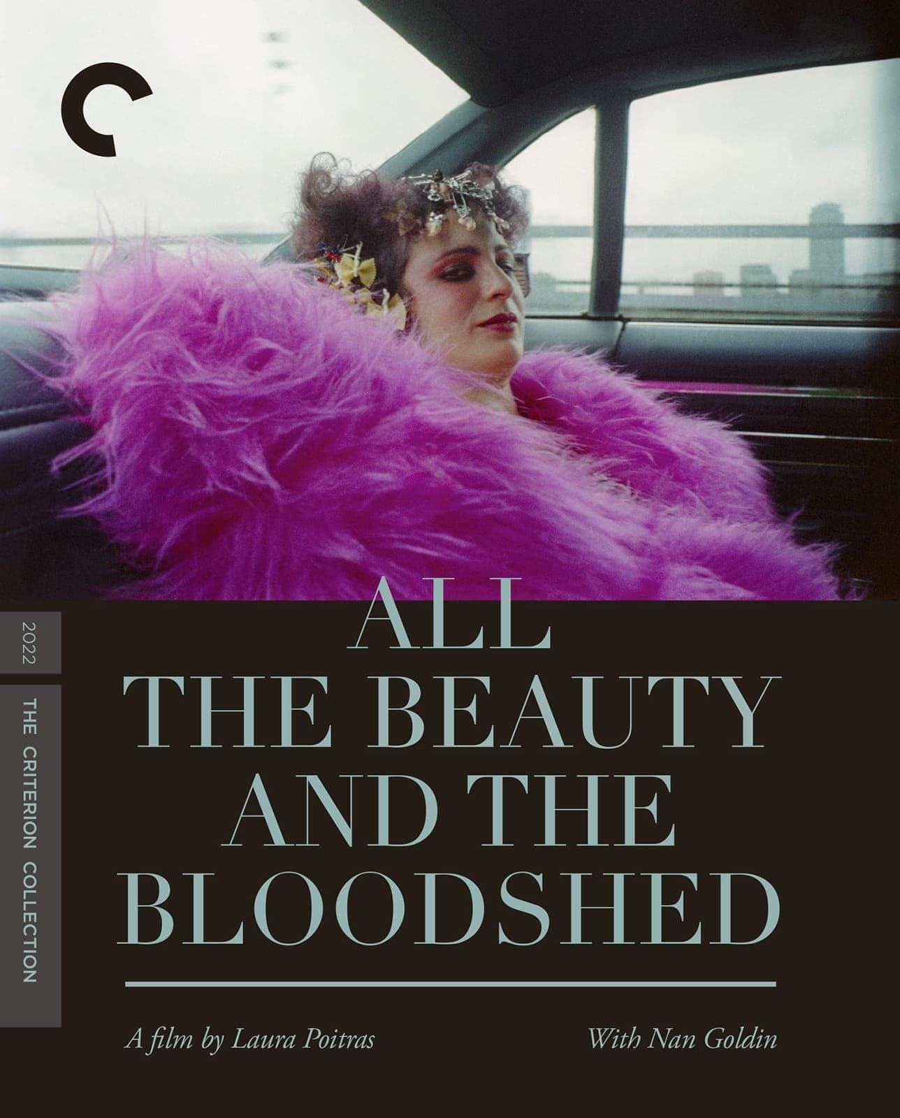 Poster for All the Beauty and the Bloodshed