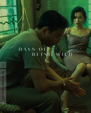 Poster for Days of Being Wild