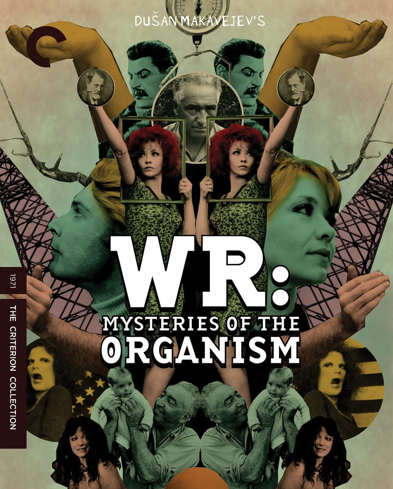 Poster for WR: Mysteries of the Organism